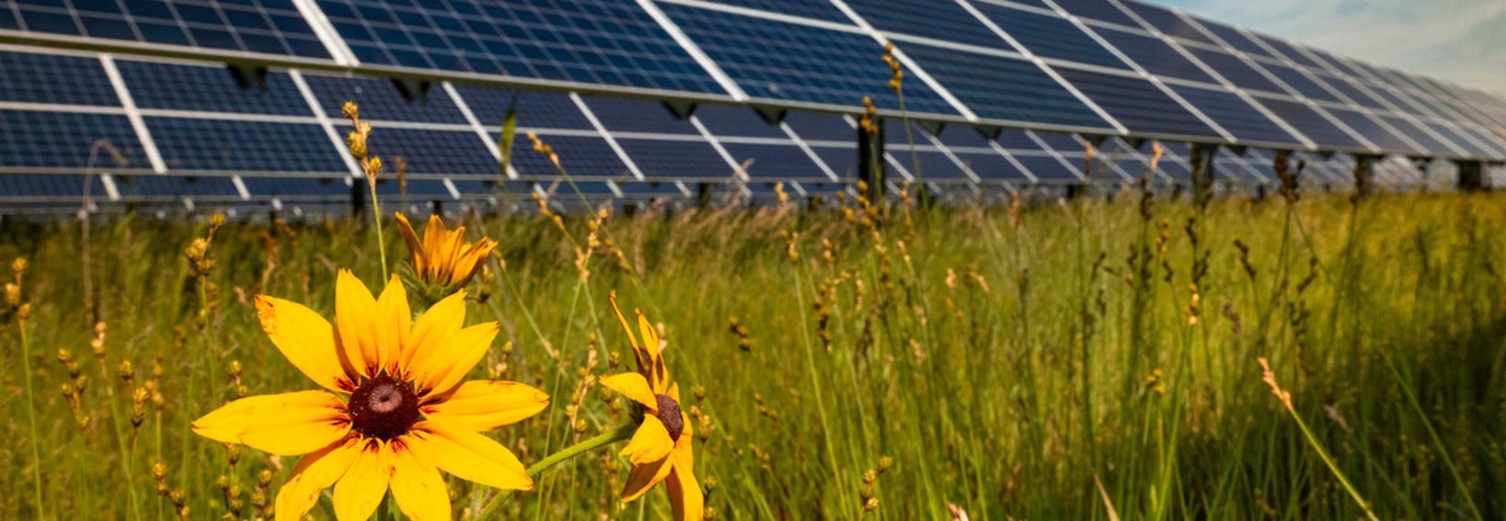 Pulita e accessibile: l'energia solare spinge la transizione green