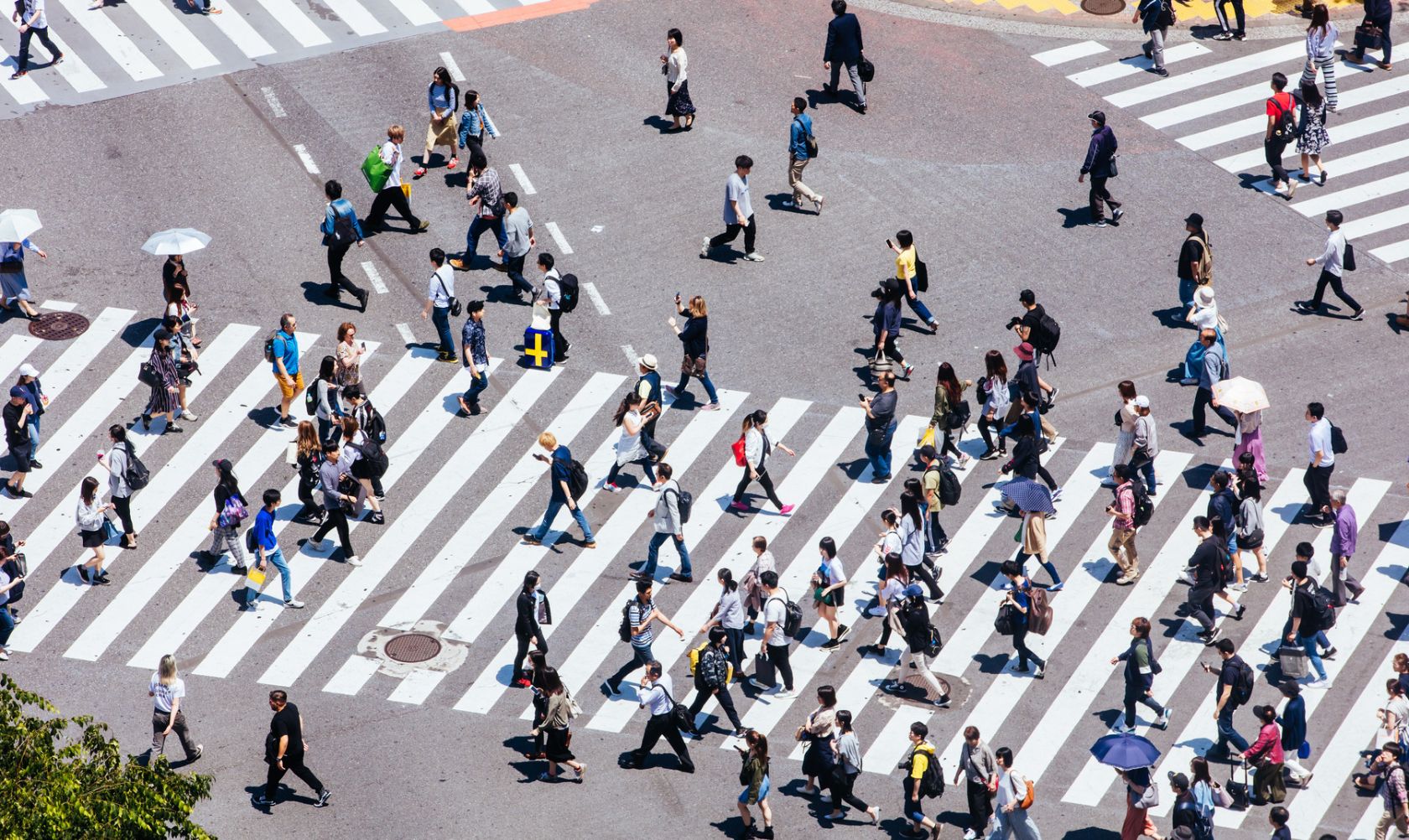 Francesco Billari: come la demografia può guidare l’innovazione